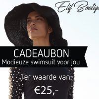 tegoedbon 25 euro